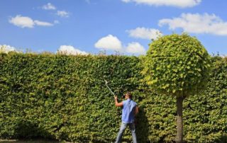 Décrocher un job pour cet été